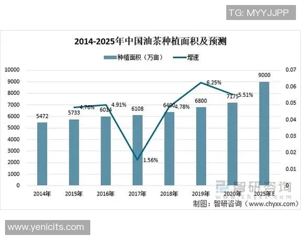 北京足球队的节奏探秘：从历史到现状的全面分析与展望