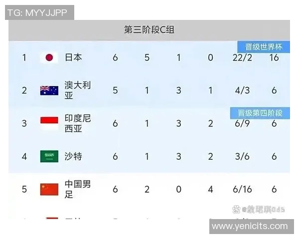 印尼足球明星最新名单揭晓球员实力与成就一览 印尼足球明星最新名单揭晓球员实力与成就一览
