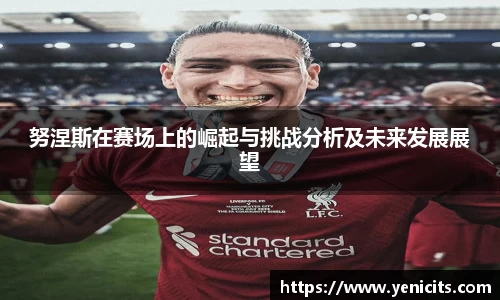 努涅斯在赛场上的崛起与挑战分析及未来发展展望
