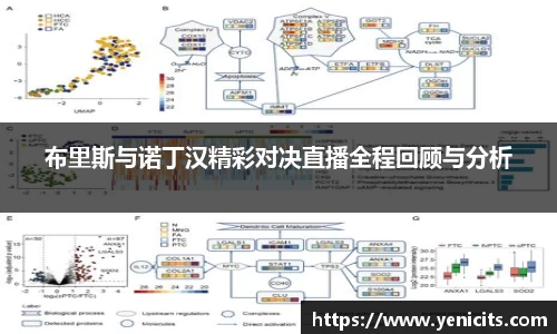 布里斯与诺丁汉精彩对决直播全程回顾与分析